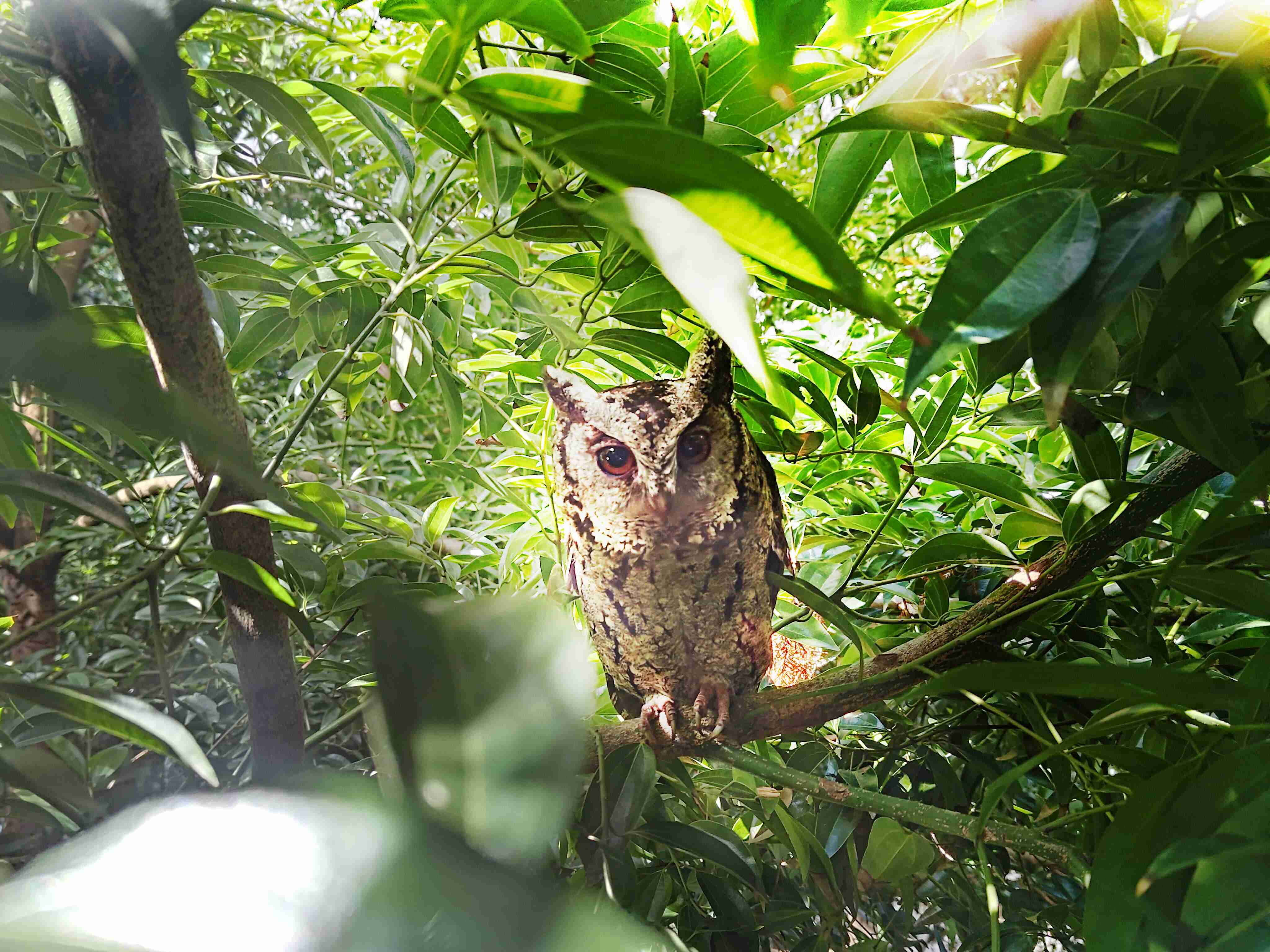 z6尊龙致力提倡净零绿生活，，16年以来在全球各厂区植树逾百万棵，，，，造就各厂区树木蔚然成林，，，犹如森林工厂，，，成为许多生物的栖息地